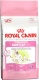 Detail vrobku: Royal Canin BABY CAT 400 g